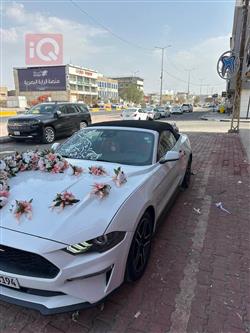 فورد موستانج